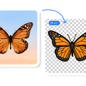 Vector Art Conversion